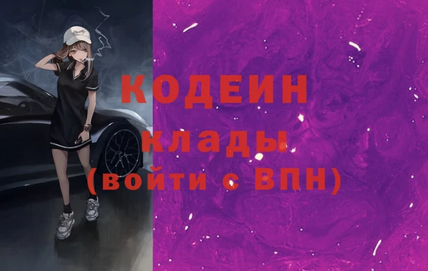 молекула духа Козловка