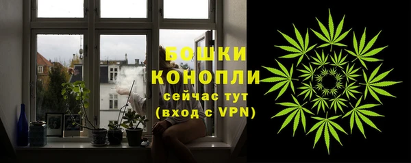 индика Кодинск