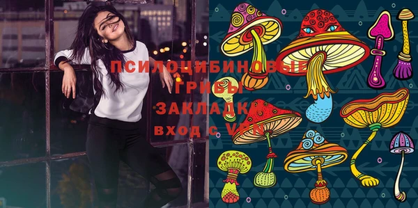 индика Кодинск
