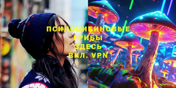 а пвп мука Козельск