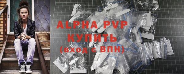 индика Кодинск