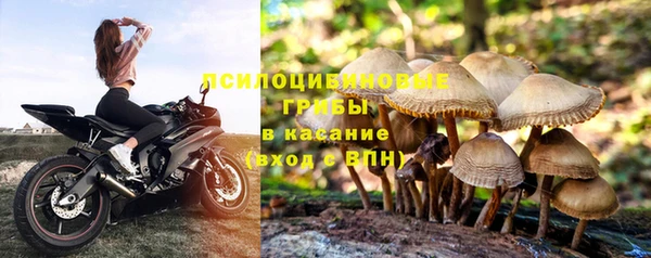 а пвп мука Козельск