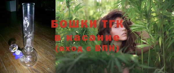 молекула духа Козловка
