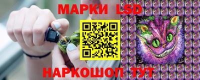 трава Кинель