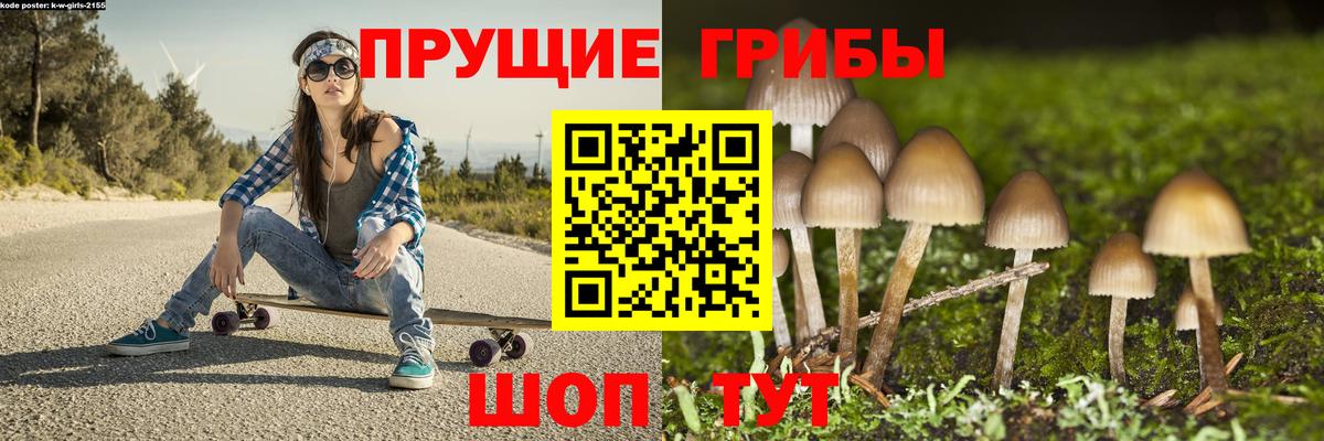 Галлюциногенные грибы Psilocybe Октябрьский